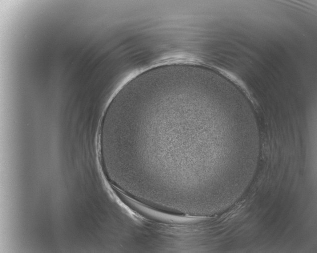 X0000058121383200509301915