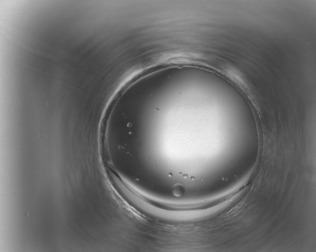 X0000058121384200509301915