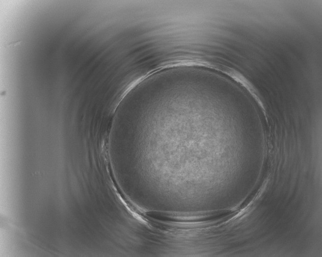 X0000058121385200509301915