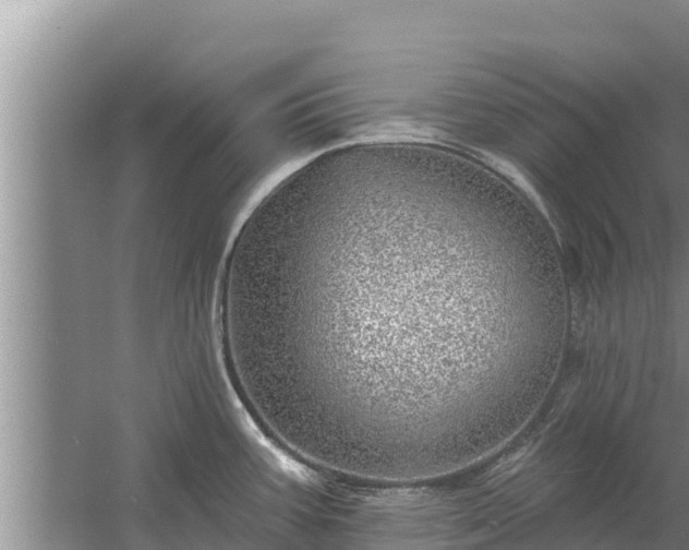 X0000058121387200509301915