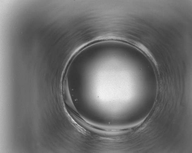 X0000058121388200509301915