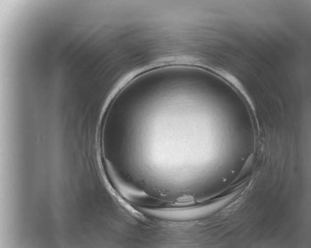 X0000058121389200509301915