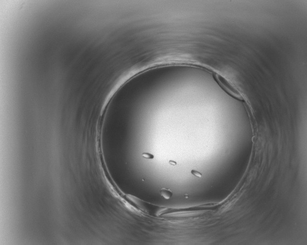 X0000058121390200509301915