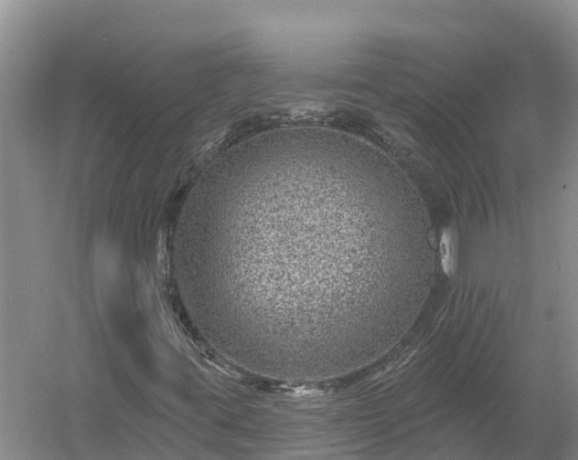 X0000058121395200509301914