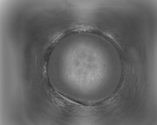 X0000058121399200509301914