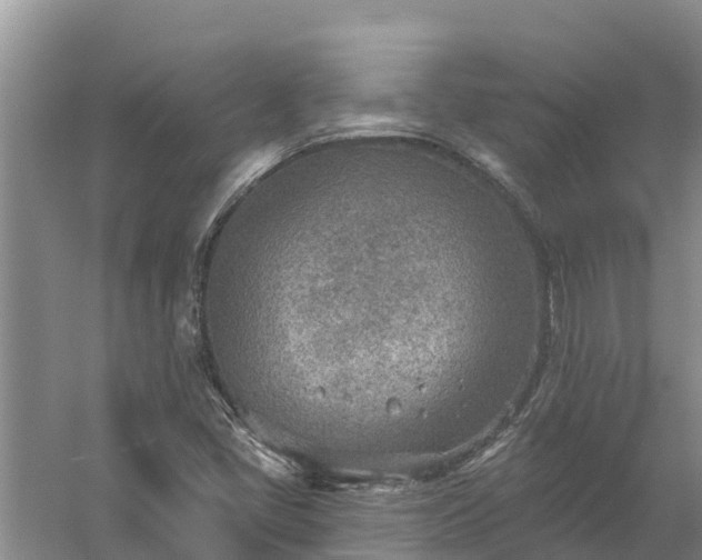 X0000058121405200509301914