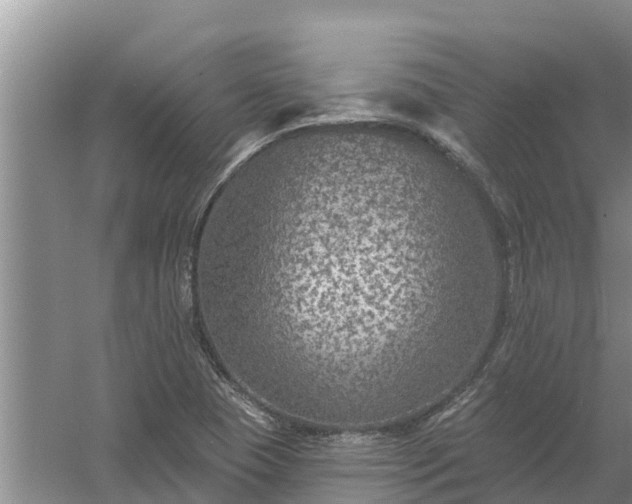 X0000058121409200509301915