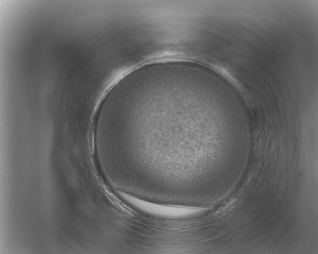 X0000058121413200509301915