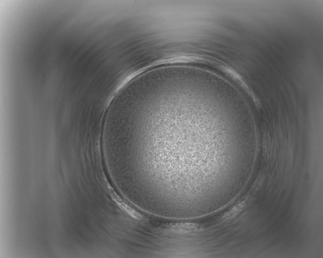 X0000058121417200509301915