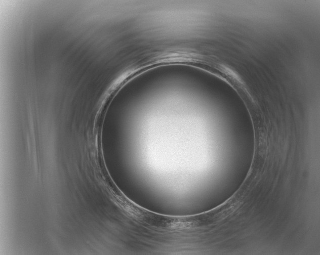 X0000058121419200509301915