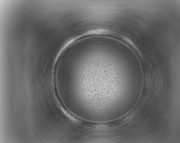 X0000058121421200509301915