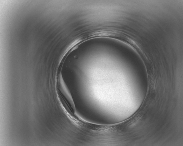 X0000058121426200509301915