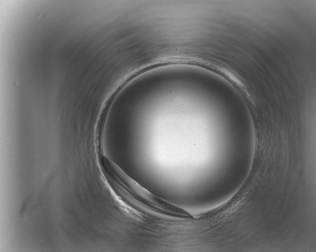 X0000058121430200509301915