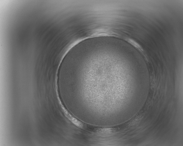 X0000058121431200509301915