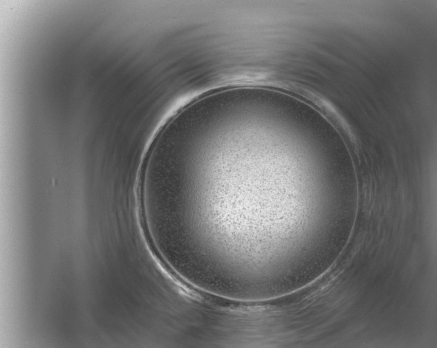 X0000058121432200509301915