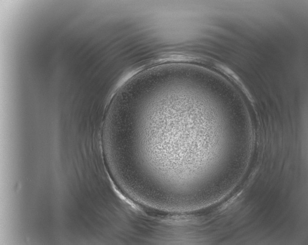 X0000058121433200509301915