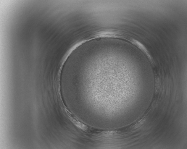 X0000058121435200509301915