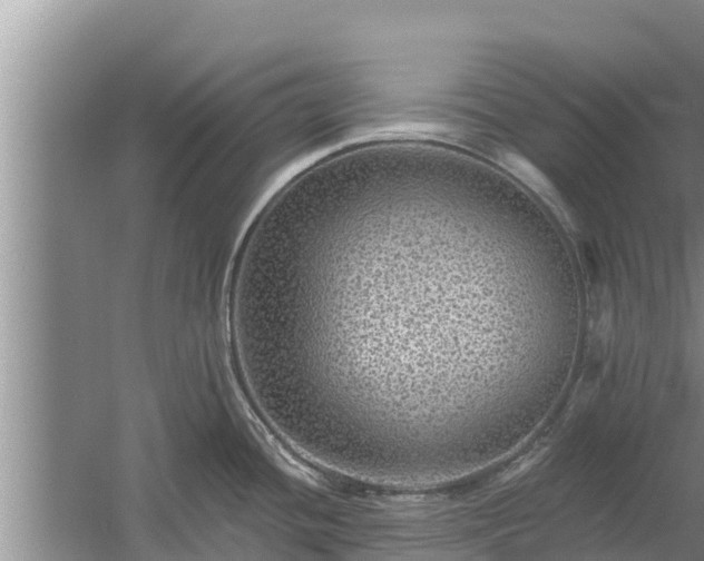 X0000058121436200509301915