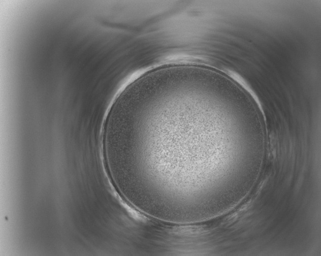 X0000058121437200509301915