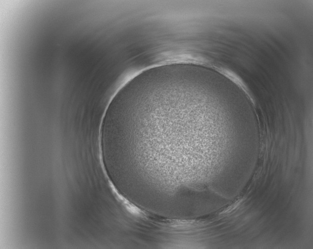 X0000058121439200509301915