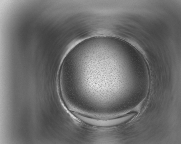 X0000058121440200509301915