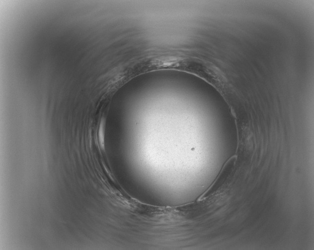 X0000058121442200509301914