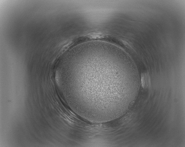 X0000058121444200509301914