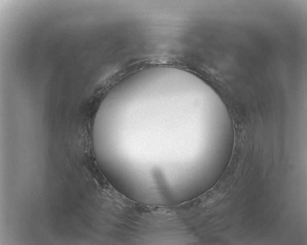 X0000058121446200509301914