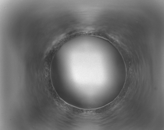 X0000058121447200509301914