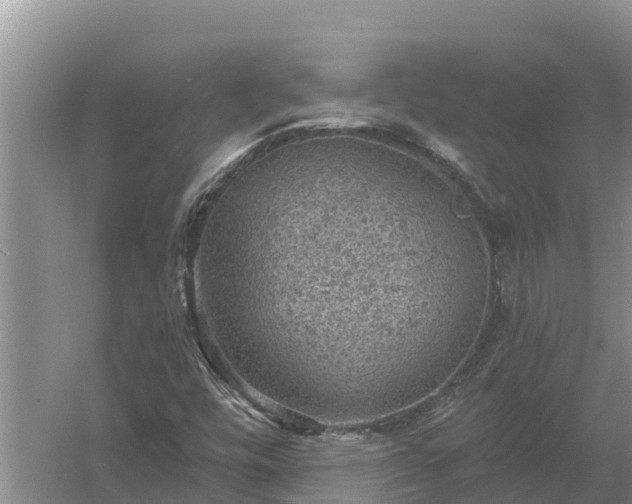 X0000058121448200509301914