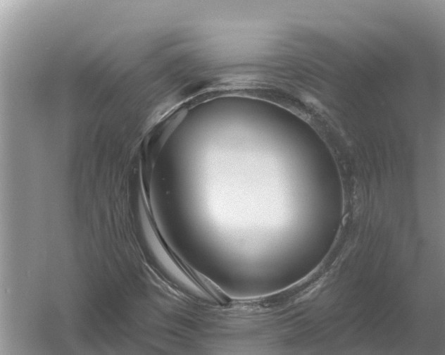 X0000058121449200509301914