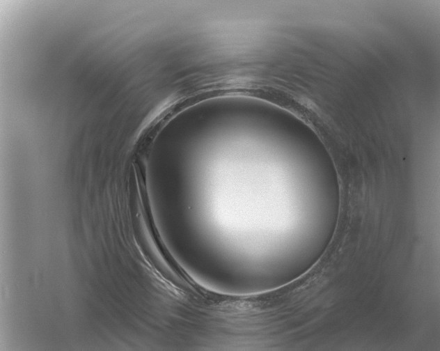 X0000058121450200509301914