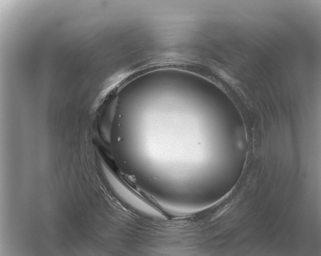 X0000058121453200509301914