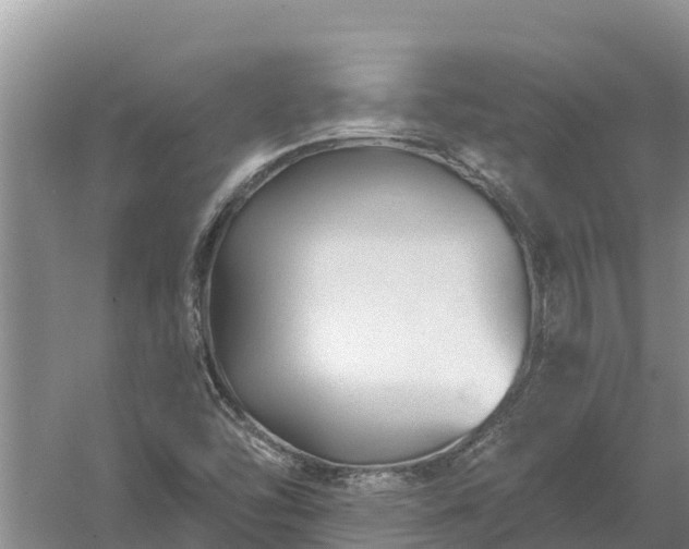 X0000058121454200509301914