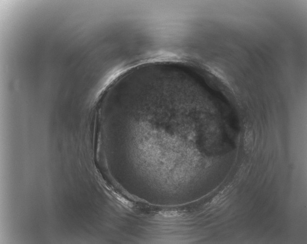 X0000058121455200509301914