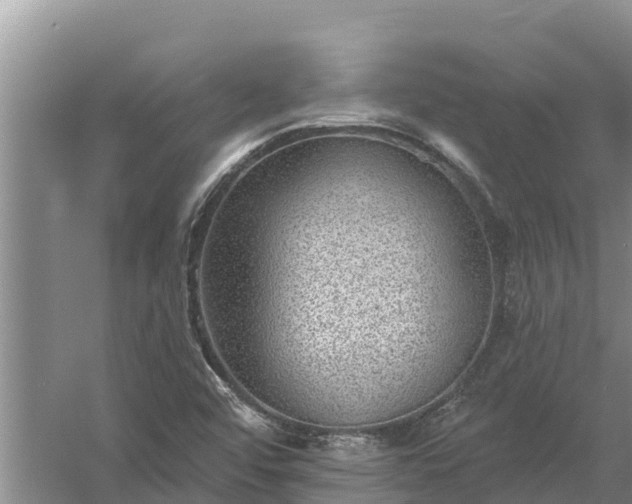 X0000058121456200509301914