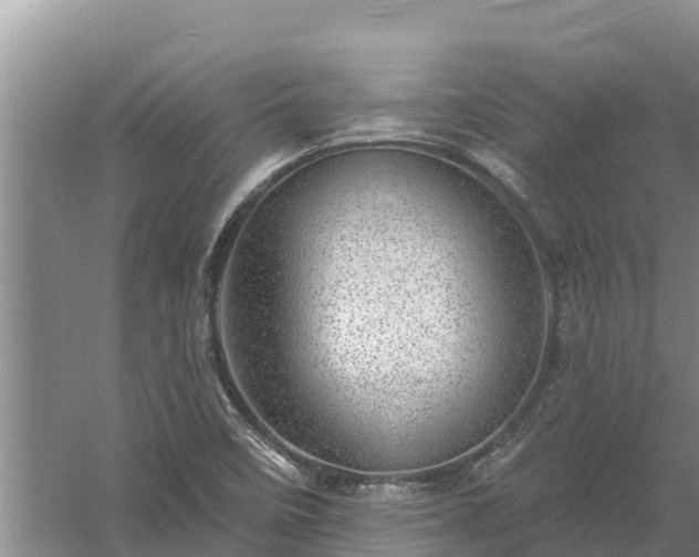 X0000058121458200509301914