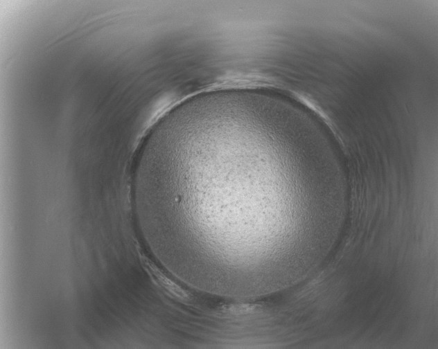 X0000058121459200509301914