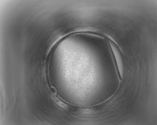 X0000058121460200509301914