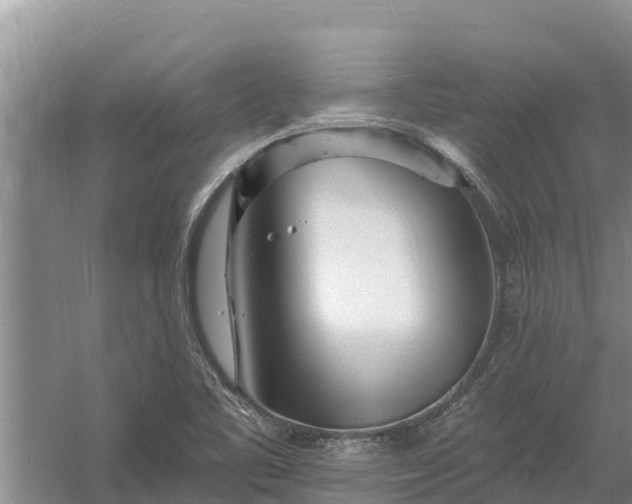 X0000058121461200509301914