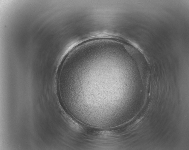 X0000058121463200509301914