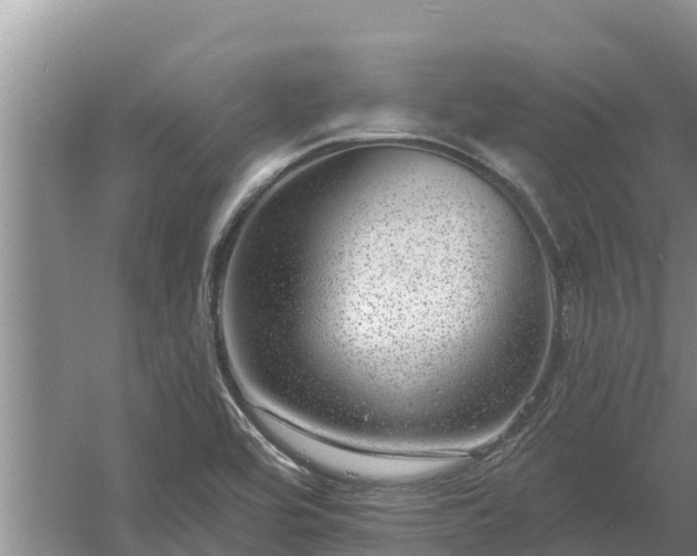 X0000058121464200509301914