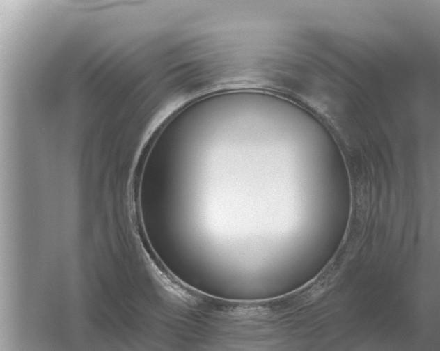 X0000058121466200509301914