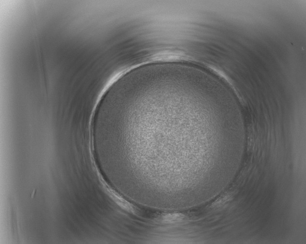 X0000058121467200509301914