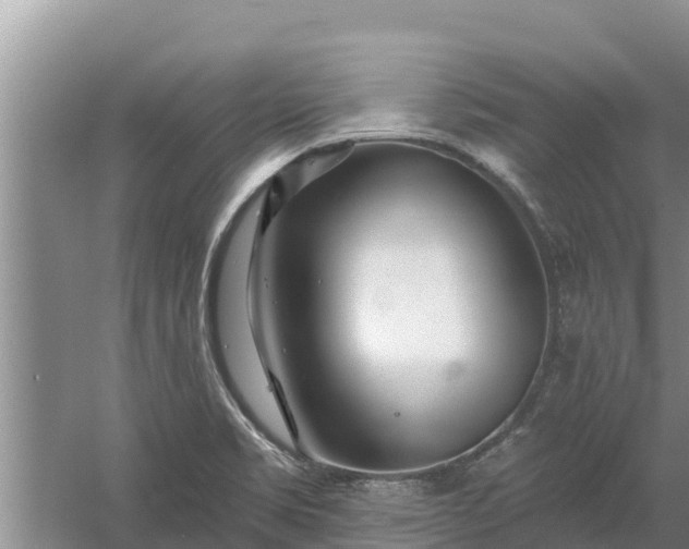 X0000058121469200509301914