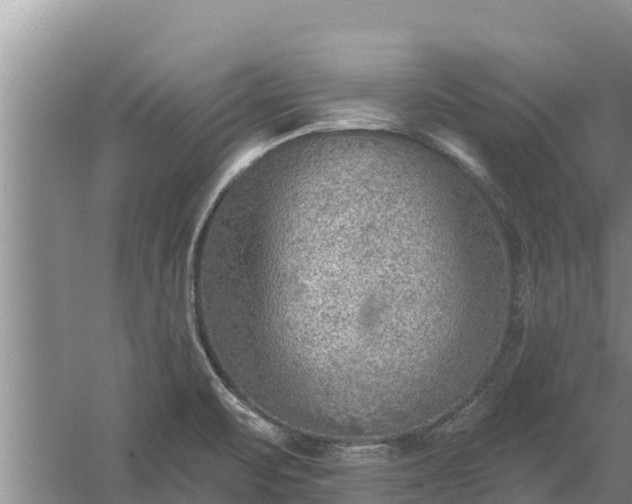 X0000058121471200509301914