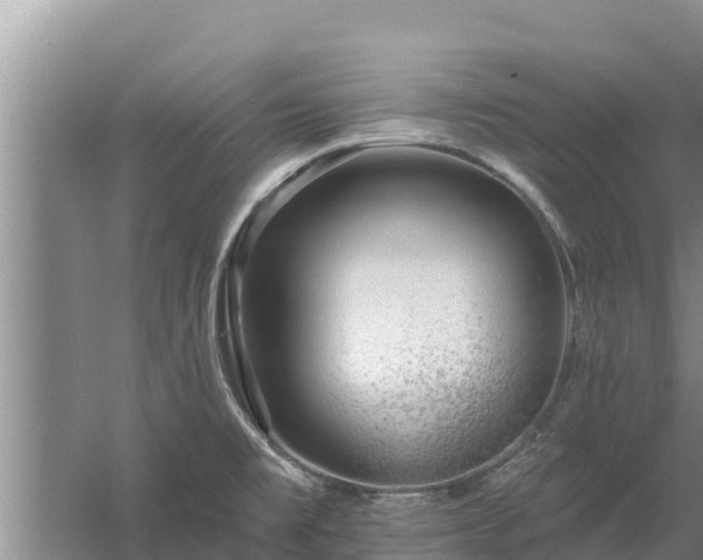 X0000058121477200509301914