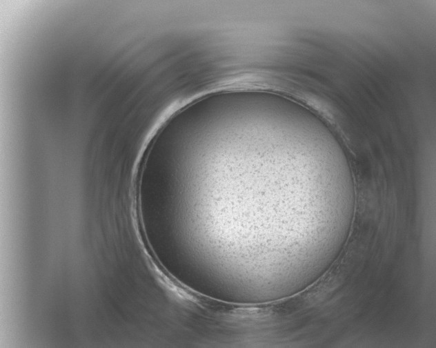 X0000058121478200509301914