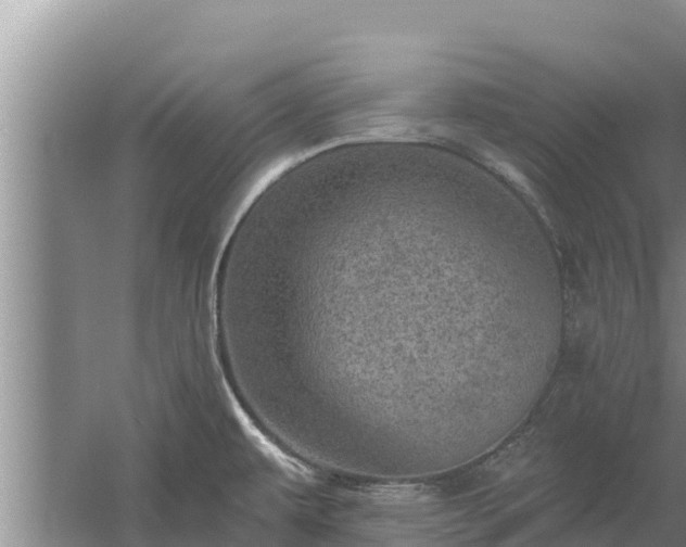 X0000058121479200509301914