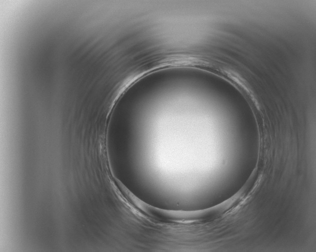 X0000058121481200509301914